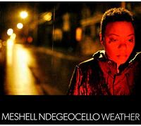 Meshell Ndegeocello - WEATHER