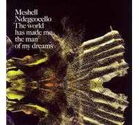 Meshell Ndegeocello - World Made Me the Man of My Dr