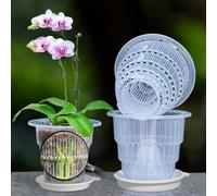 Meshpot 6 Inch Clear Orquídea Pots with Holes and Saucers Orquídea Planter for Home Decoration - 4 Pack