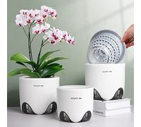 Meshpot Macetas de orquídeas de 12 cm con agujeros, juego de 1, maceta de orquídea de cerámica de imitación de plástico de doble capa que proporciona una buena circulación de aire, maceta transparente