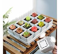 Meshpot Macetas suculentas, 12 macetas suculentas de 2.8 pulgadas con bandeja de 14 x 9.4 pulgadas, juego de 1, maceta de cactus suculentas de plástico con drenaje, plántulas cuadradas de suculentas para combinar con bandeja rectangular larga
