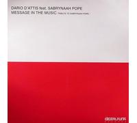 Message In The Music (Tribute to Sabrynaah Pope)-12"