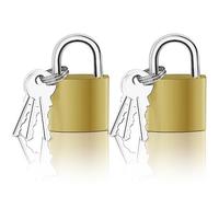 Mesybveo 2 Piezas Candado con Llave, 32mm Candado Maleta con 6 Misma Llave, Candado Seguridad, Portátil Candado Taquilla Gimnasio, para Taquillas, Candados de Bicicletas, Puertas y Ventanas