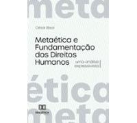 Metaética E Fundamentação Dos Direitos Humanos (ebook)