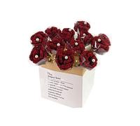 MetaHrystynx Ramo de flores de ganchillo hecho a mano, kit de material de ramo de rosas para el día de San Valentín, graduación, cumpleaños y decoración del hogar (kit de 12 rosas/rojo vino)