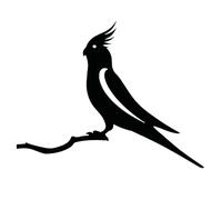 Metal Bird - Iron Artwork | Garden Ornament - Blackbird Shape Garden Stake