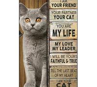 Metal Cartel Puerta, Resistente Cartel De Chapa Metálica, Yo Soy Tu Amigo, Tu Amigo, Tu Gato, Eres Mi Gato De La Vida., Placa Metálica para Cafetería Oficina Bar, 20X30Cm