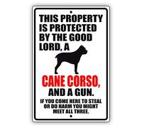 Metal Cartel Puerta, Vintage Cartel De Chapa Metálica, Esta Propiedad Está Protegida por El Buen Señor. Un Perro Cane Corso., Placa Metálica para Cocina Bar Cafetería, 20X30Cm