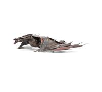Metal Earth Fascinations Serie Premium Drogon Modelo De Puzzle De Metal 3D