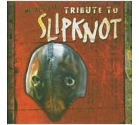 Metal Guitar Tribute to Slipkn