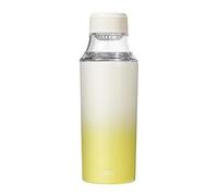 Metal Water Bottle 450ml With Tea Strainern | Insulated Tumbler