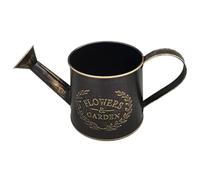 Metal Watering Can - Garden Can with Spout and Handle Jug
