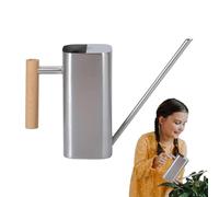 Metal Watering Can Indoor, Stainless Steel Watering Can, Long Spout Watering Can, Flower Watering Can, Bonsai Watering Jug, Indoor Plant Watering Can, Garden Watering Can,