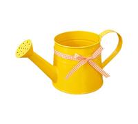 Metal Watering Can, Small Decorative Plant Pot, Modern Indoor Outdoor Watering Tool with Ergonomic Spout, Garden and Home Accessory for Flowers and Bonsai, Stylish Plant Care Use for Office Balcony