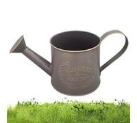 Metal Watering Can - Small Spout Handle Jug for Indoor Outdoor Plant Care