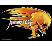 Metallica - Metallica,Skull & Flames, Fahne