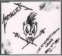 Metallica - Nothing Else Matters (Live)