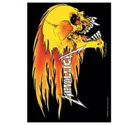 Metallica Póster bandera Skull & Flames