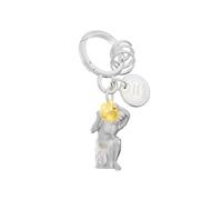 Metalmorphose - Llavero con amuletos de signo zodiacal Acuario, signo astrológico de Acuario, regalo para hombre, mujer y niño, plata, talla única