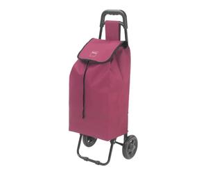 Metaltex Daphne - Carro de la Compra (40 L, con Bolsillo para Paraguas, Bolsa Desmontable)