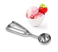 Metaltex DOSIFICADOR Helado INOX 50 MMS, Plateado, Estandar