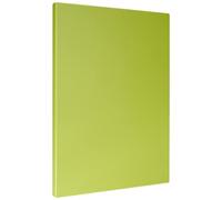 Metaltex - Tabla Profesional de Cocina Corte, Polietileno, color Kiwi, 38 x 28 x 1,5 cm