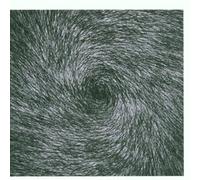 Metamatics - From Death to Passwords Where