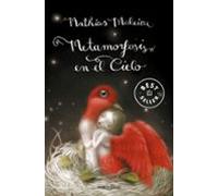 Metamorfosis En El Cielo