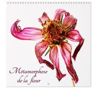 Métamorphose de la fleur (Calendrier mural carré 2026 30x30 cm) Calendrier double avec une page pour vos prises de notes: Des fleurs sur le chemin du matin