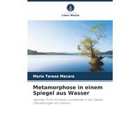 Metamorphose in einem Spiegel aus Wasser: Identität, Profil, Kontexte und Wandel in den (Selbst-)Darstellungen von Lehrern