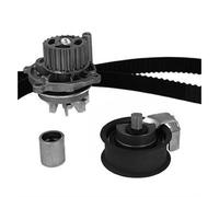 METELLI Bomba de Agua + Kit Correa de Distribución Apto para Audi A6 30-0904-4