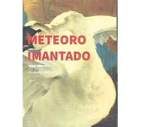 METEORO IMANTADO (POESIA)