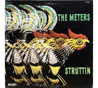 METERS - METERS LP, STRUTTIN', US ISSUE PRE-OWNED NEW CONDITION LP