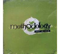 Methodology - What We Have