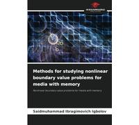Methods for studying nonlinear boundary value problems for media with memory: Nonlinear boundary value problems for media with memory