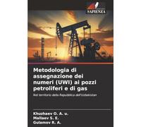 Metodologia di assegnazione dei numeri (UWI) ai pozzi petroliferi e di gas: Nel territorio della Repubblica dell'Uzbekistan