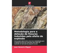 Metodologia para a deteção de fissuras induzidas pelo efeito de explosão: Este projeto desenvolve uma nova metodologia para a deteção de fissuras ... da explosão em bancada de pequena escala