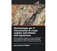 Metodologia per il rilevamento di crepe indotte dall'effetto dell'esplosione: Questo progetto sviluppa una nuova metodologia per il rilevamento delle ... in banchi di prova su piccola scala