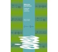 Métodos Numéricos. (ebook)