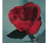 Metz - Up On Gravity Hill