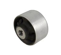 METZGER AUTOTEILE Almacenamiento Brazo de Control 52135208 para Ford