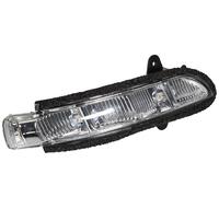 Luz intermitente Espejo exterior derecha LED transparente CARNICERO para u.a.