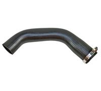 METZGER AUTOTEILE Manguera Carga Aire Turbo 2400360 para Ford, Reforzada