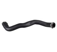METZGER AUTOTEILE Manguera De Ladeluft Para Ford 2400887, Reforzada