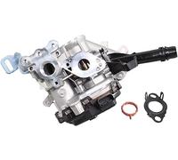 METZGER Válvula EGR para DS: DS4, DS3, DS5 & PEUGEOT: Expert, Partner, 5008, 308, 301, 208, 508, 3008, Traveller, 2008 & CITROËN: DS3 (Ref: 0892969)