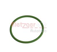 METZGER Junta anular, conducto aire admisión para VOLKSWAGEN: Golf Cabriolet, Tiguan, Eos, Golf, Caddy, Jetta, Passat, New Beetle, Polo (Ref: 2430153)