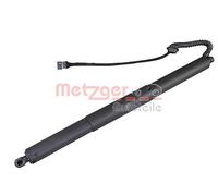 METZGER Motor eléctrico, portón trasero para BMW: X5 (Ref: 2115019)