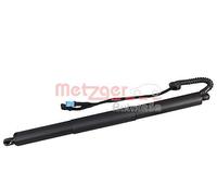 METZGER Motor eléctrico, portón trasero para BMW: X5 (Ref: 2115021)