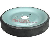 METZGER Polea, bomba de agua para DS: DS4, DS3, DS5 & BMW: Série 3, Série 1 & MINI: MINI & CITROËN: DS3, C4 SpaceTourer, DS5 (Ref: 6400032)