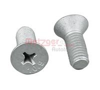 METZGER Tornillo, disco de freno para MERCEDES-BENZ: Sprinter & VOLKSWAGEN: LT & OPEL: Movano & RENAULT: Master & NISSAN: NV400 (Ref: 11676K)